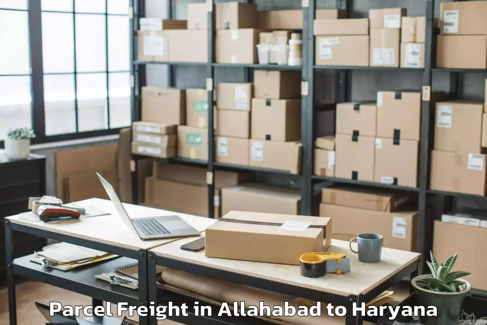 Quality Allahabad to Pristine Mall Faridabad Parcel Freight